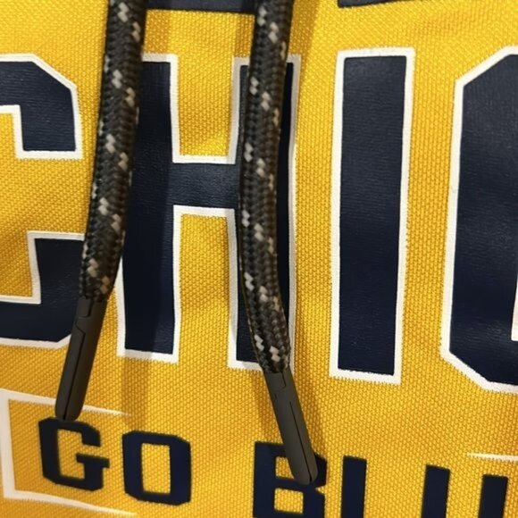 Michigan Wolverines Men’s Large Performance Hoodie Sweatshirt Colosseum New - Picture 6 of 8